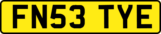 FN53TYE