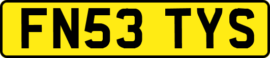 FN53TYS
