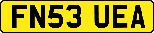 FN53UEA