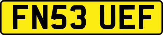 FN53UEF
