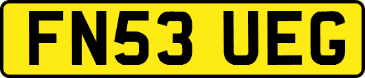 FN53UEG