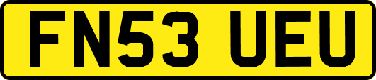 FN53UEU