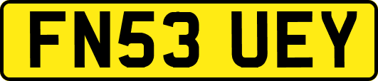 FN53UEY