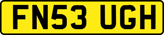 FN53UGH