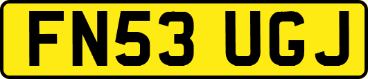 FN53UGJ