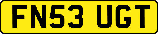 FN53UGT