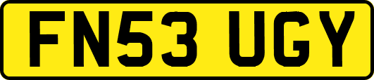 FN53UGY