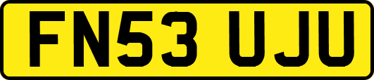 FN53UJU
