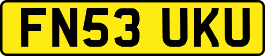 FN53UKU