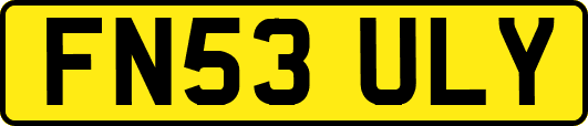 FN53ULY