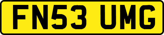 FN53UMG