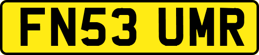 FN53UMR