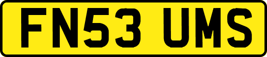 FN53UMS