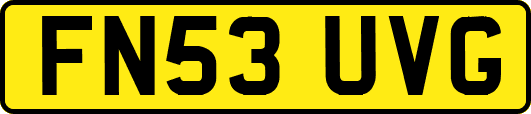 FN53UVG