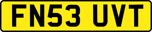 FN53UVT