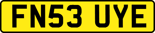 FN53UYE