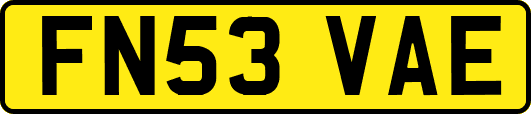FN53VAE