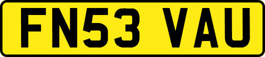 FN53VAU