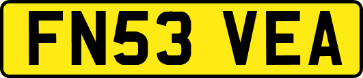 FN53VEA