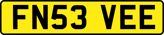 FN53VEE