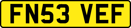 FN53VEF