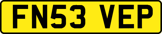 FN53VEP
