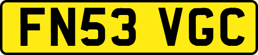 FN53VGC