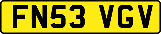 FN53VGV
