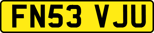 FN53VJU