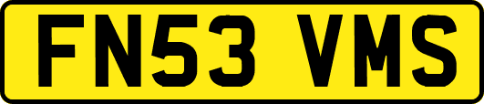 FN53VMS