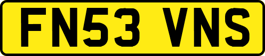 FN53VNS