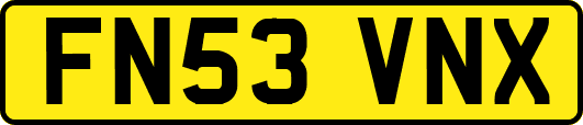 FN53VNX