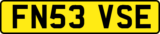 FN53VSE