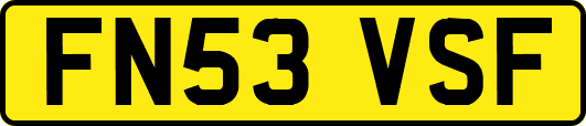 FN53VSF