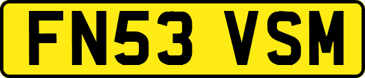 FN53VSM