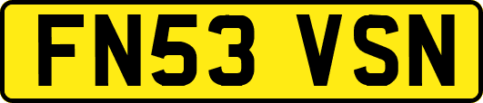 FN53VSN