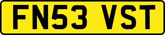 FN53VST