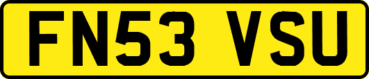 FN53VSU