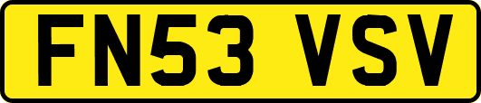 FN53VSV