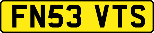 FN53VTS