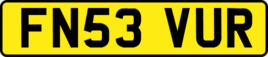 FN53VUR
