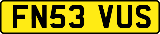 FN53VUS