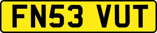 FN53VUT