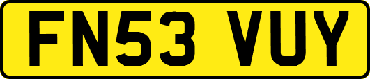 FN53VUY