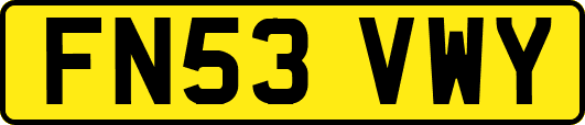 FN53VWY