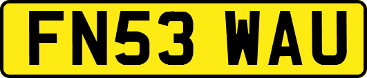 FN53WAU