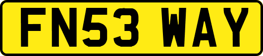 FN53WAY