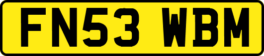 FN53WBM