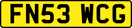 FN53WCG