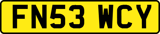 FN53WCY